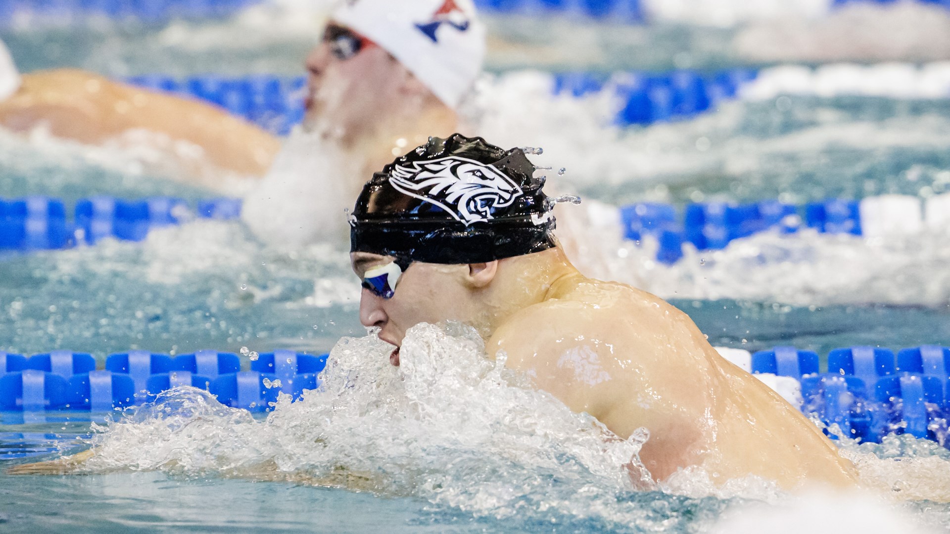 CAA Swimming & Diving Weekly Awards - Oct. 25