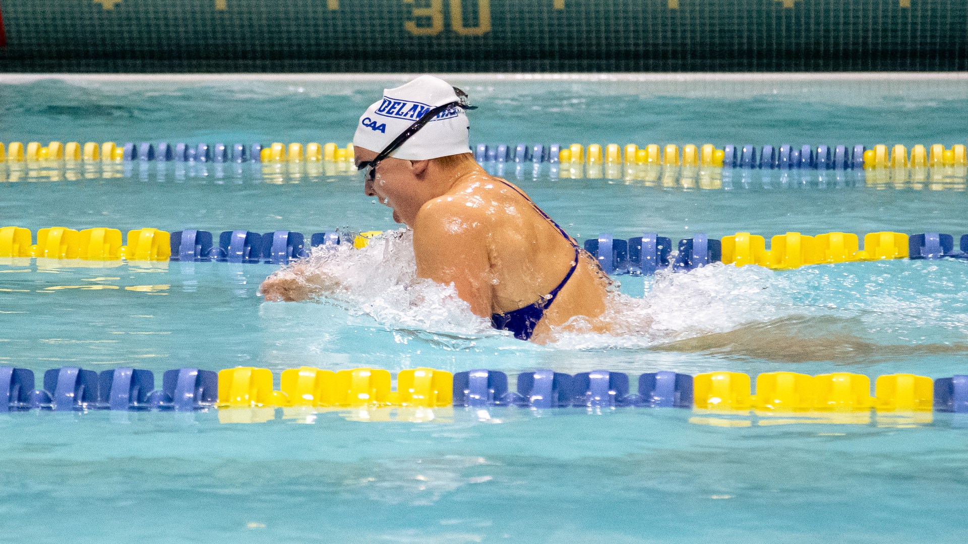 CAA Swimming & Diving Weekly Awards - Nov. 15