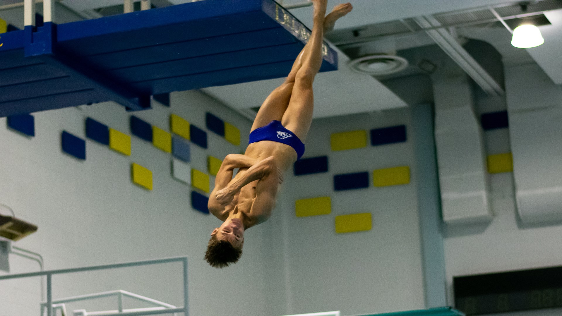 CAA Swimming & Diving Weekly Awards - Nov. 8