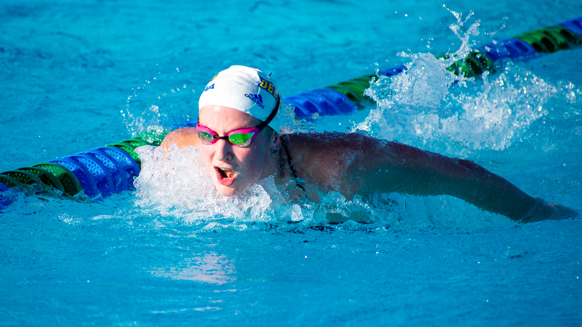 CAA Swimming & Diving Weekly Awards - Jan. 24