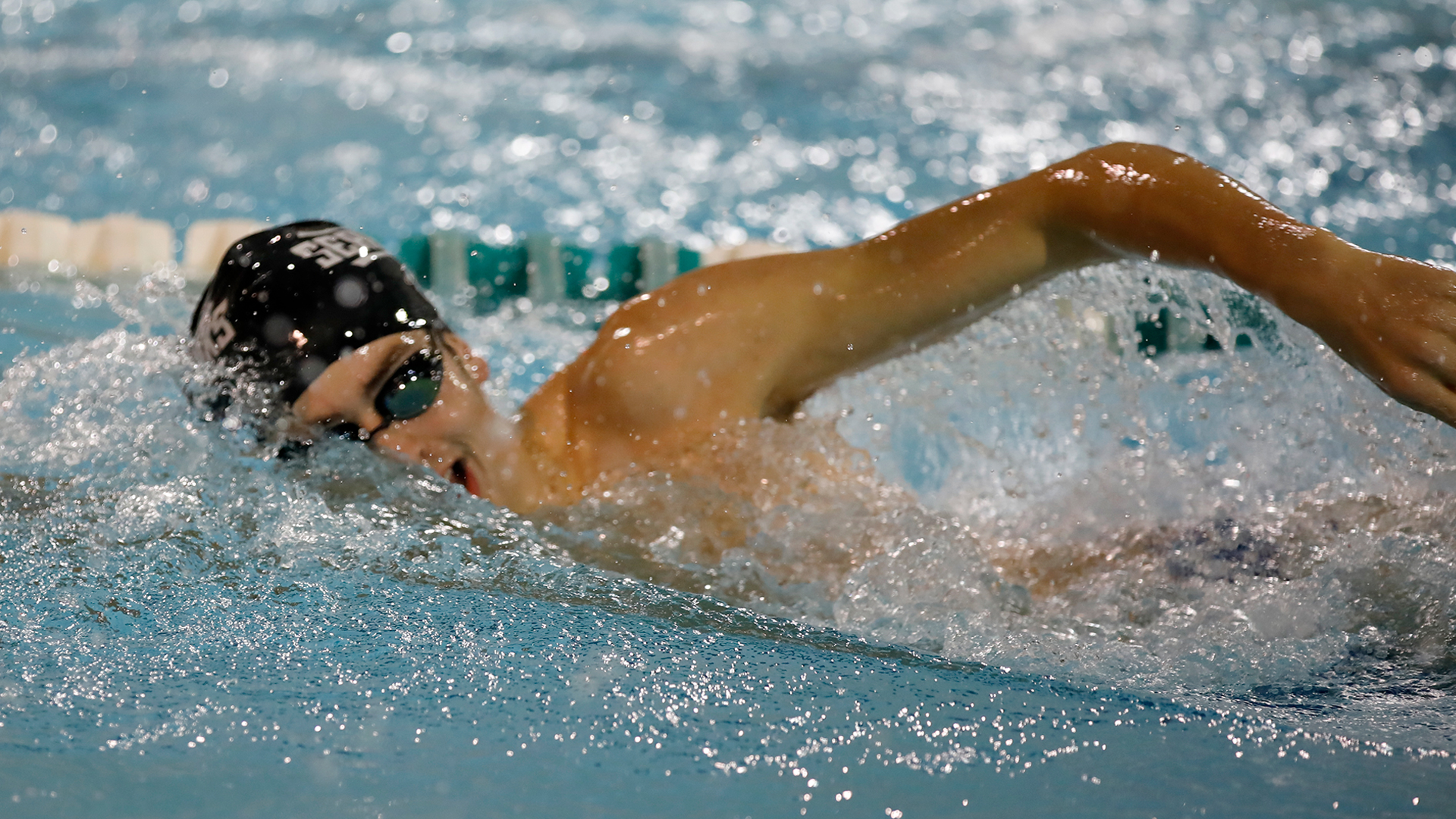 CAA Swimming & Diving Weekly Awards - Jan. 31