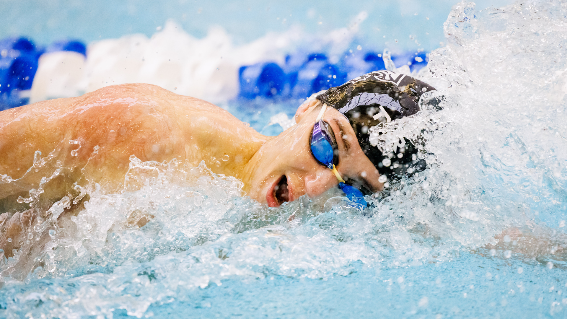 CAA Swimming & Diving Weekly Awards - Oct. 31