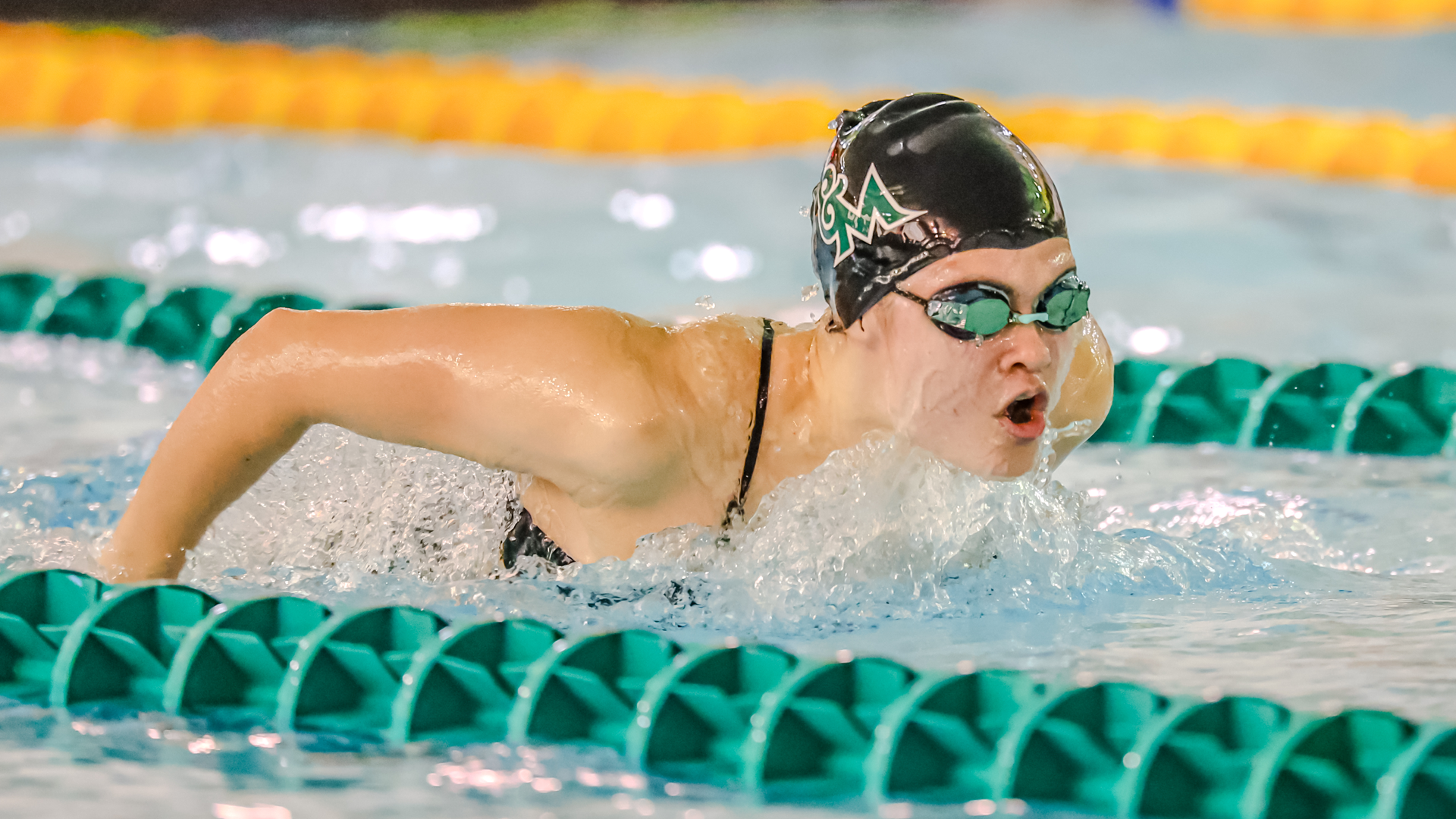 CAA Swimming & Diving Weekly Awards - Nov. 21