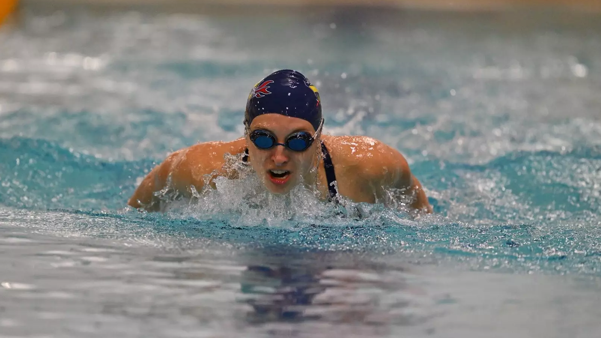 CAA Swimming & Diving Weekly Awards - Nov. 7