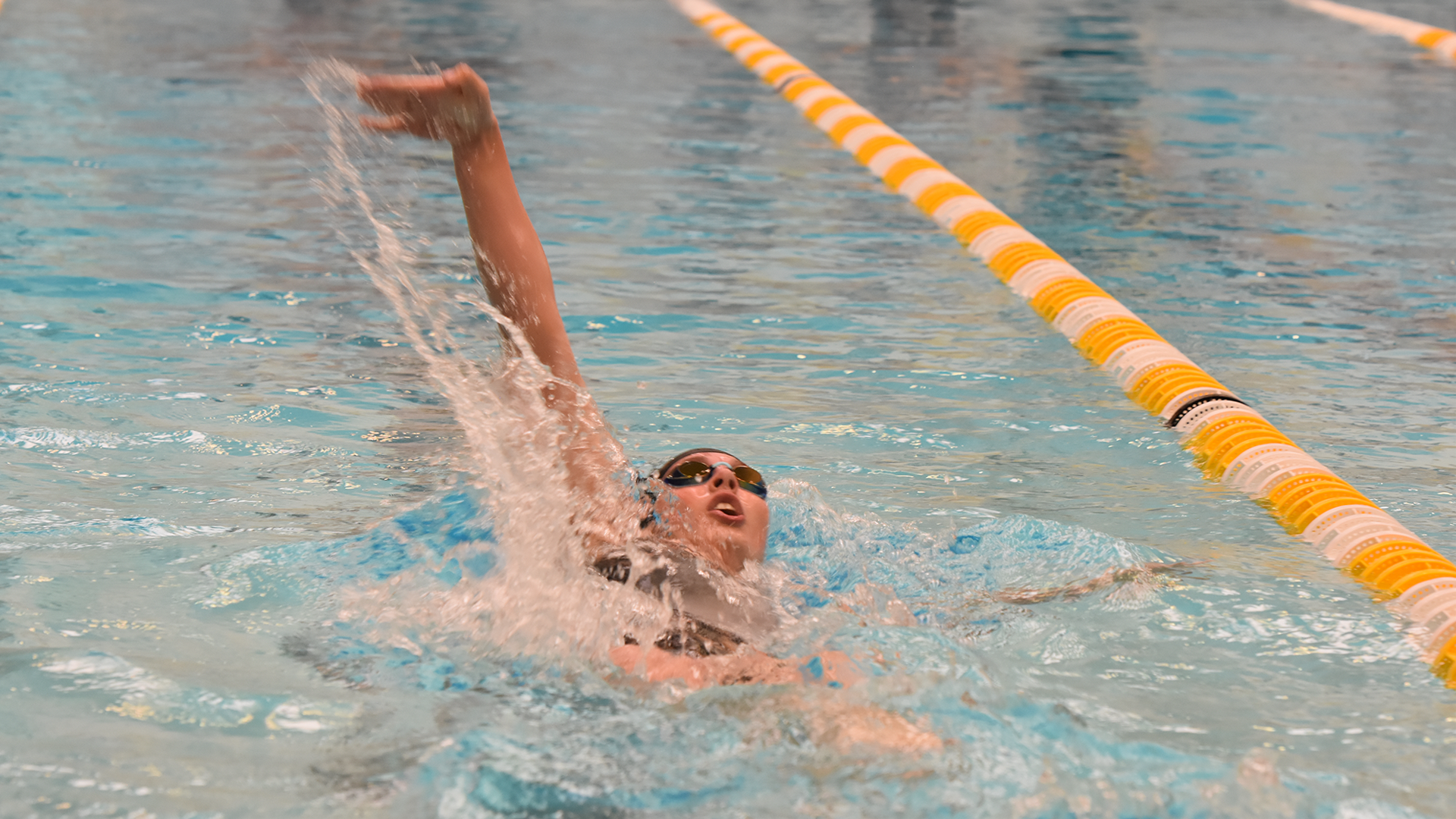 CAA Recognizes Top Freshmen Swimmers And Divers For The Month Of January