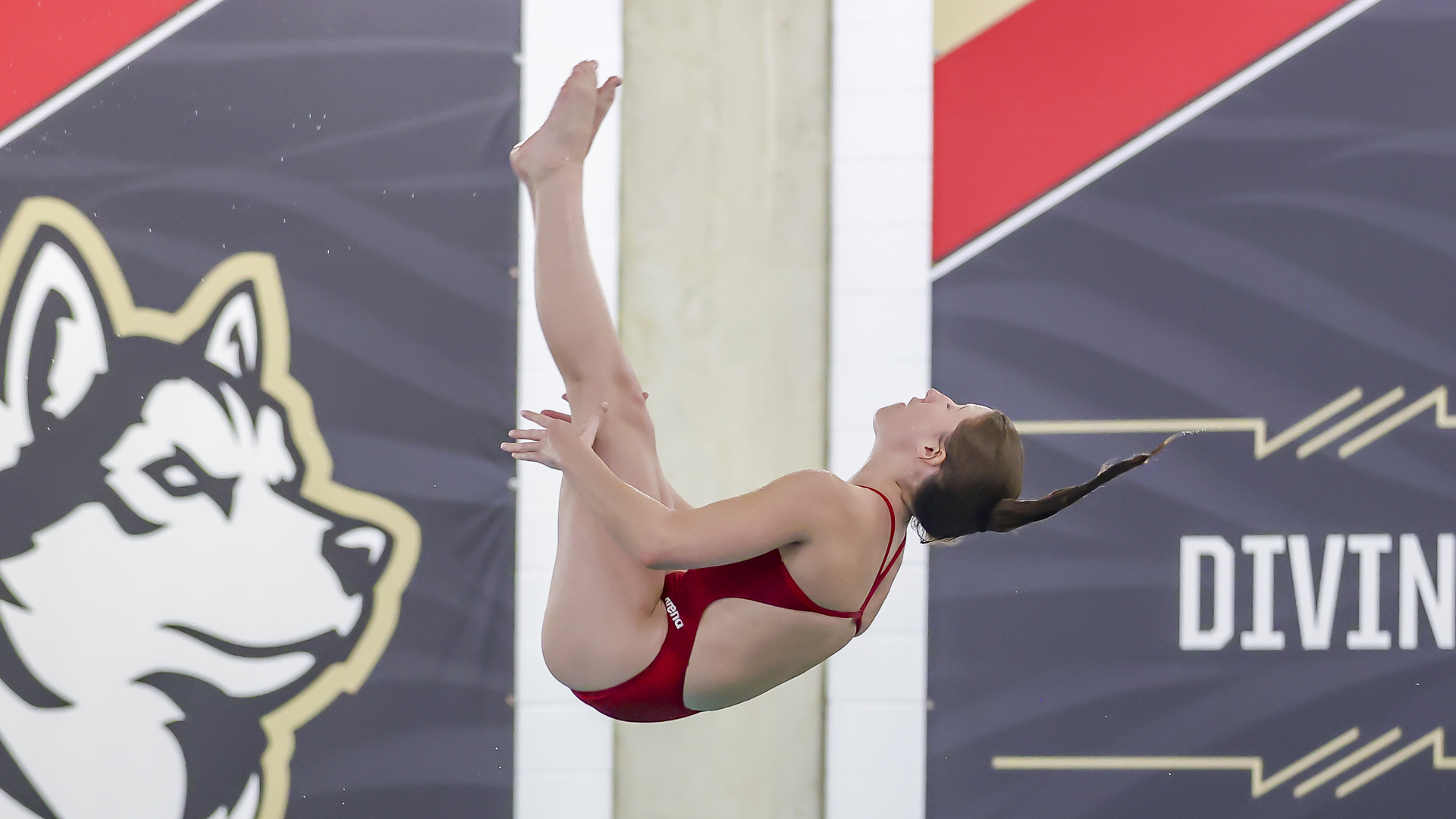 CAA Swimming & Diving Weekly Awards - Feb. 7