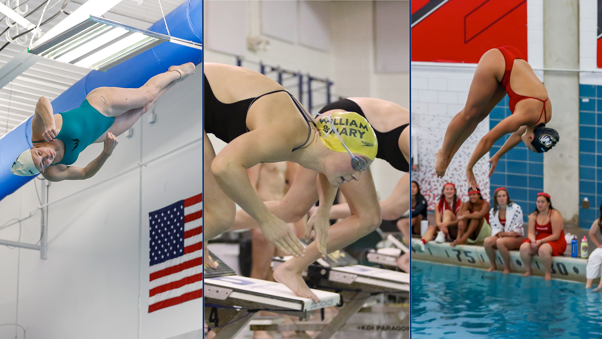 Stevenson, Klausen And Murphy Headline CAA Women's Swimming & Diving Postseason Awards