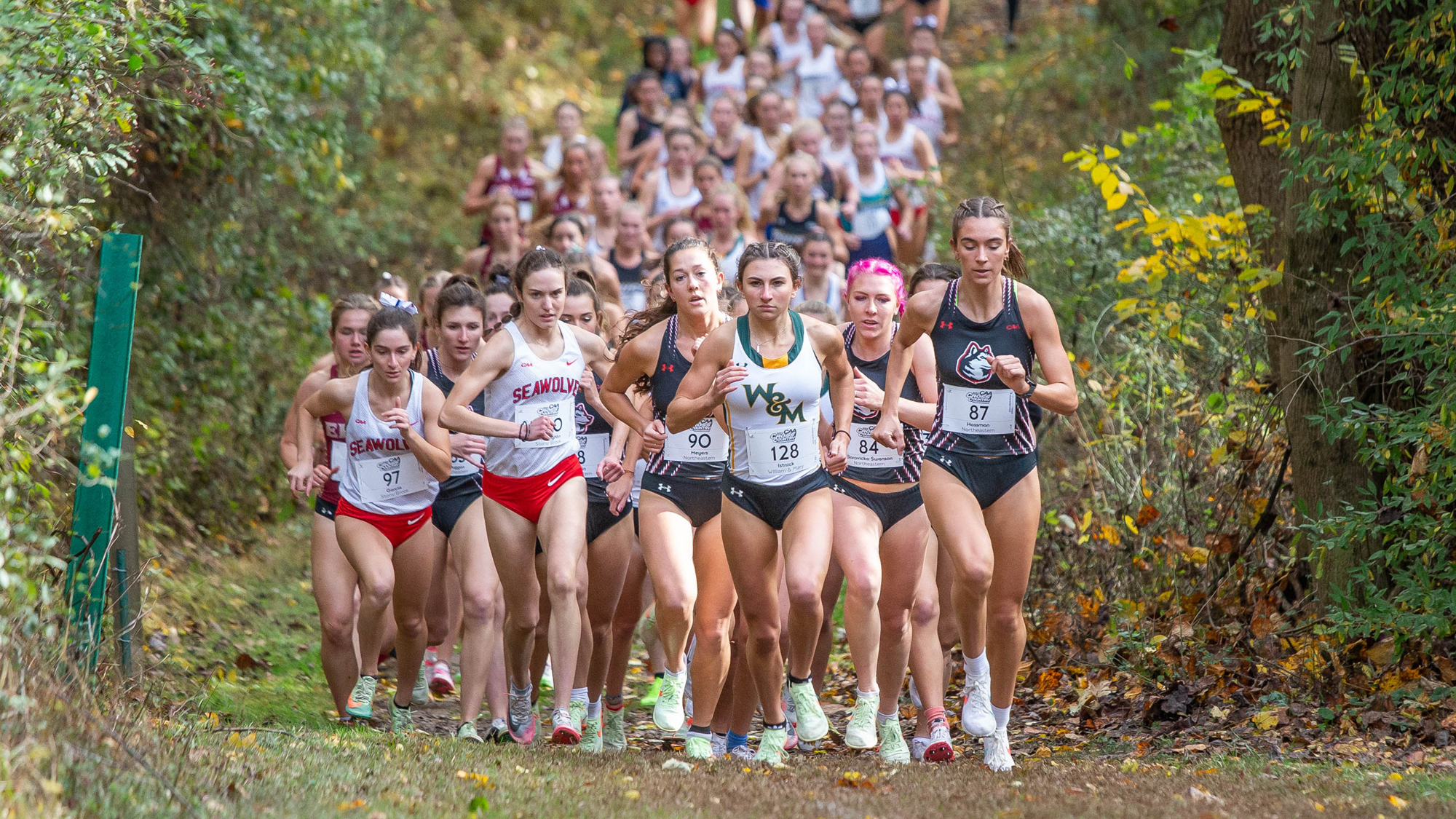 2023 CAA Cross Country Championship to Run Friday