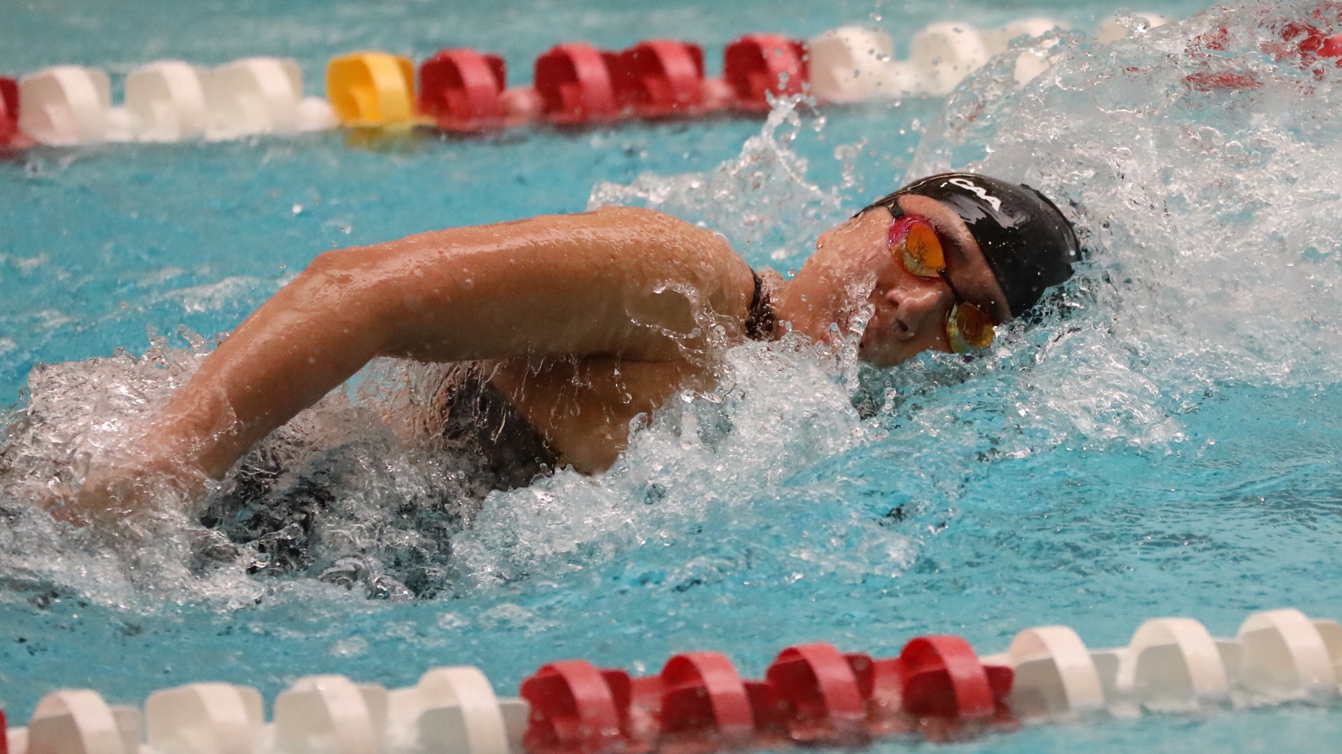 CAA Swimming & Diving Weekly Awards - Jan. 16