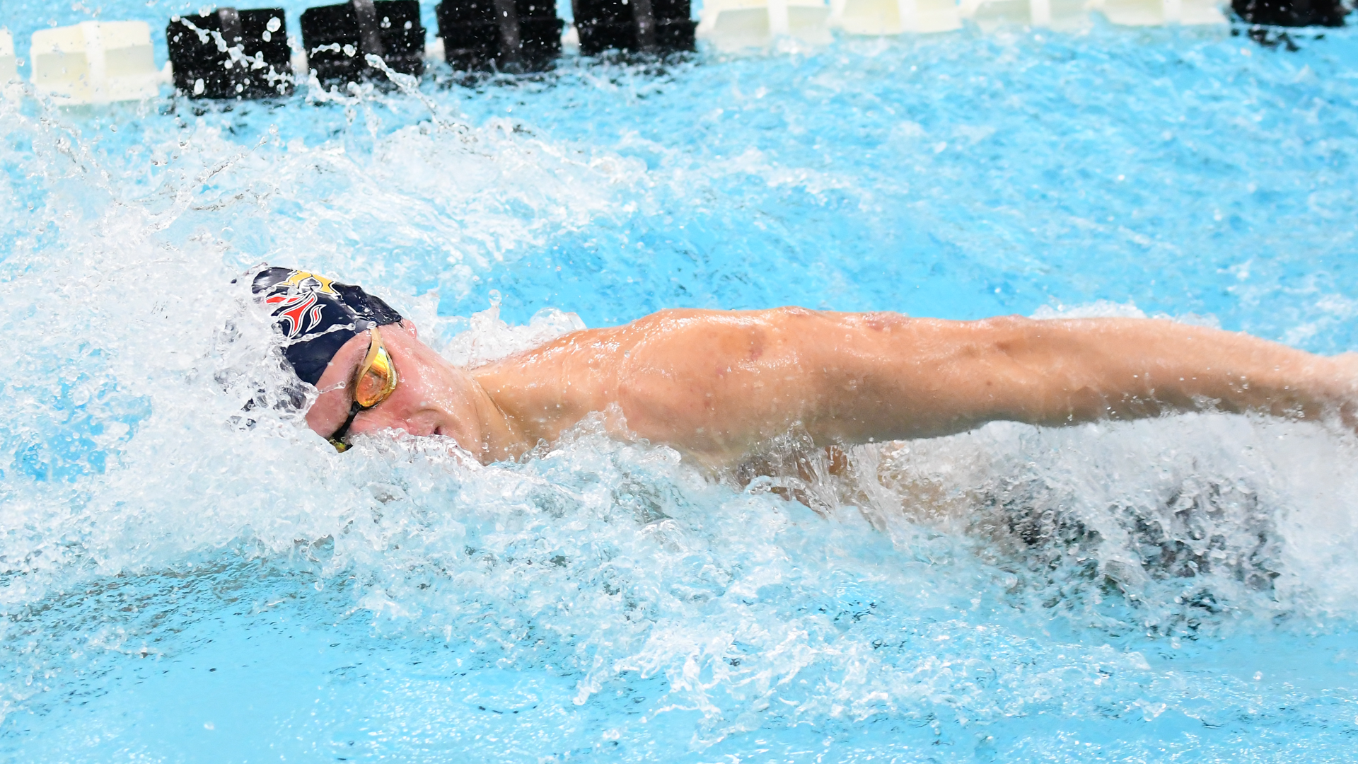 CAA Swimming & Diving Weekly Awards - Oct. 22