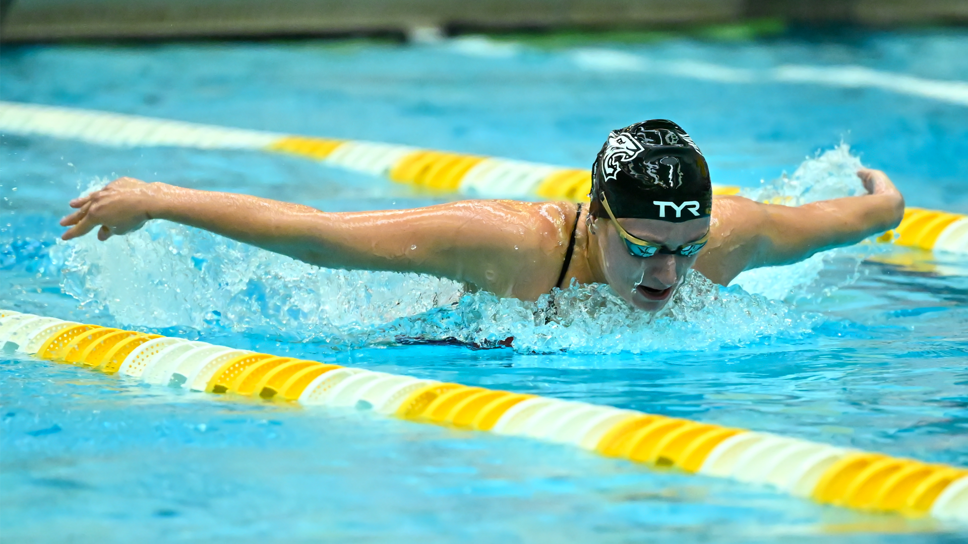 CAA Swimming & Diving Weekly Awards - Oct. 29