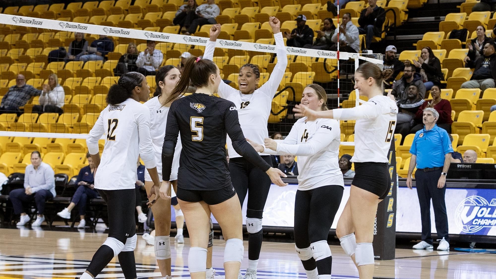 No. 3 Towson and No. 4 Hofstra Move on to CAA Volleyball Semifinals