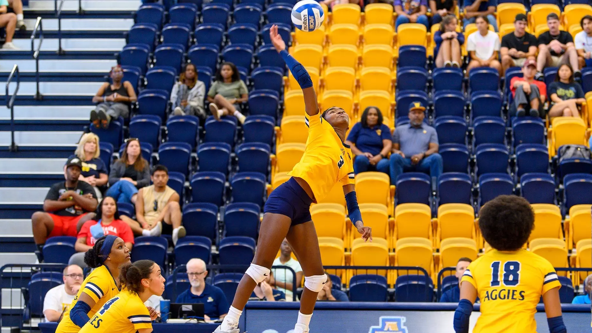 A&T's Ross Receives AVCA Honorable Mention All-Region Honors