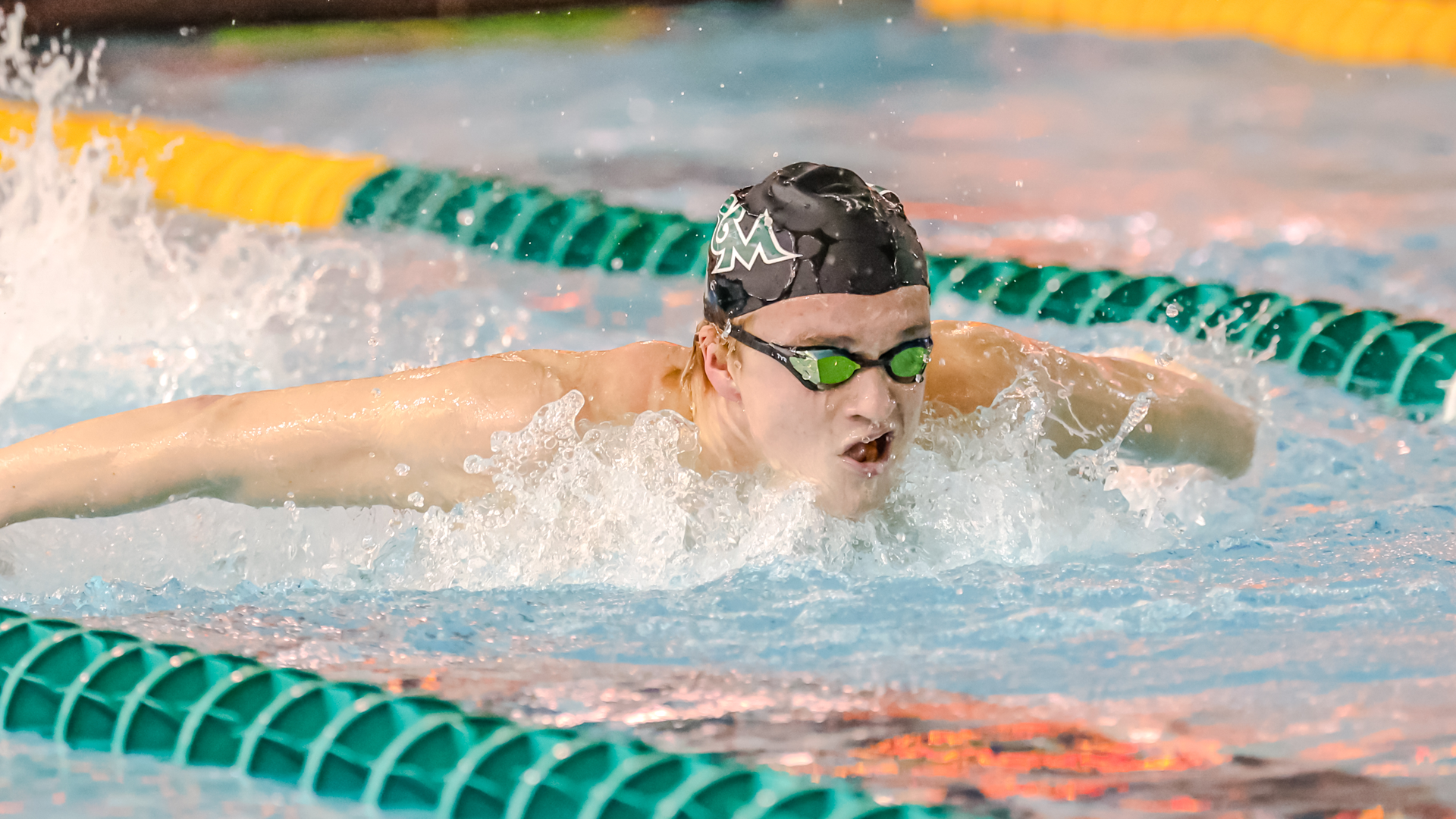 CAA Swimming & Diving Weekly Awards - Feb. 13