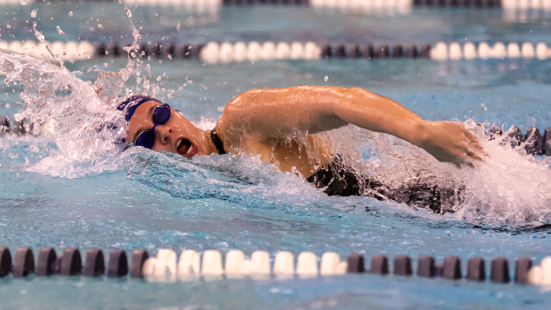 CAA Rookie Swimmers and Diver Of The Month - January