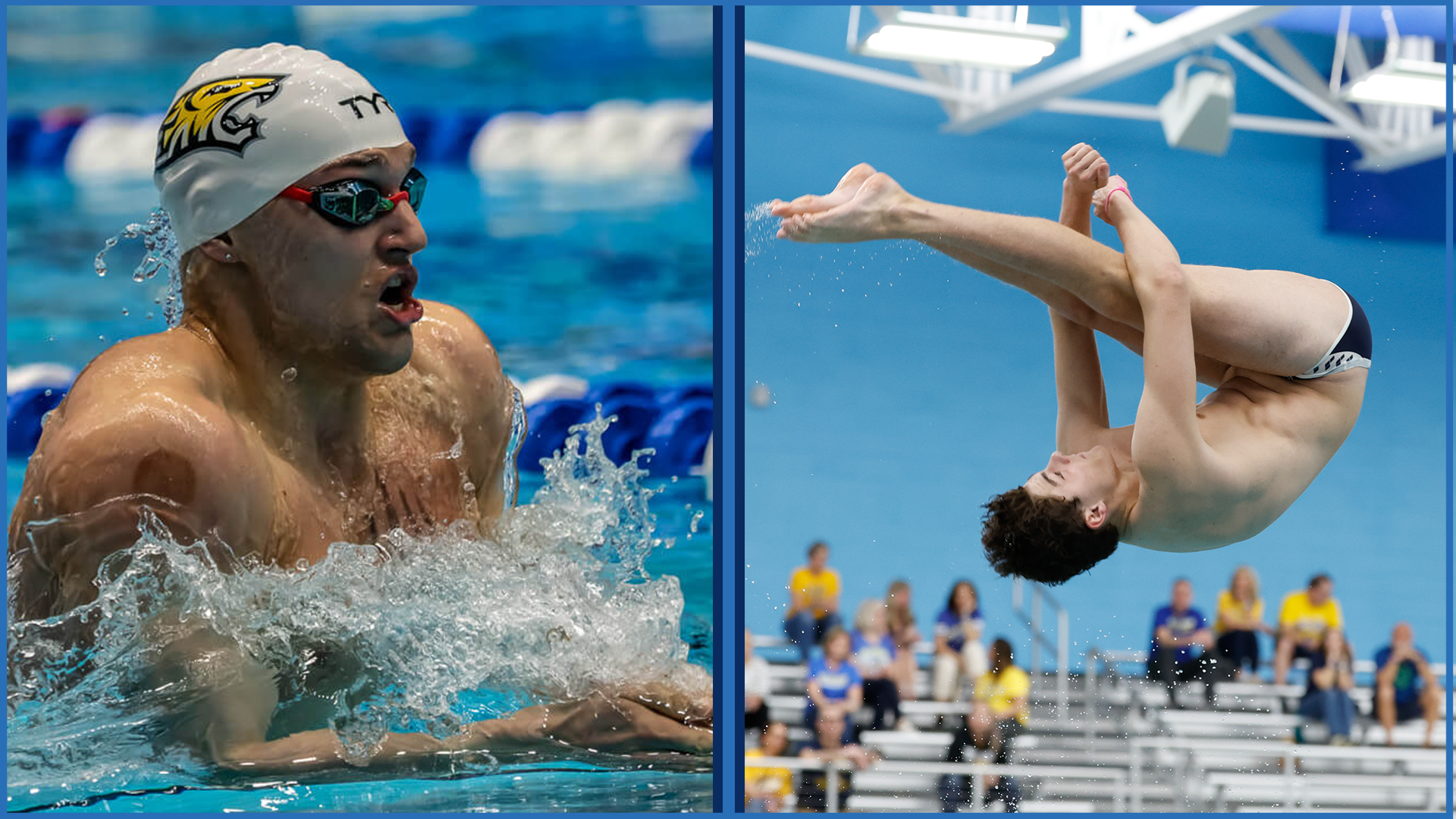 Towson's Benzing, UNCW's Badrian Repeat As Top CAA Men's Swimming & Diving Award Winners