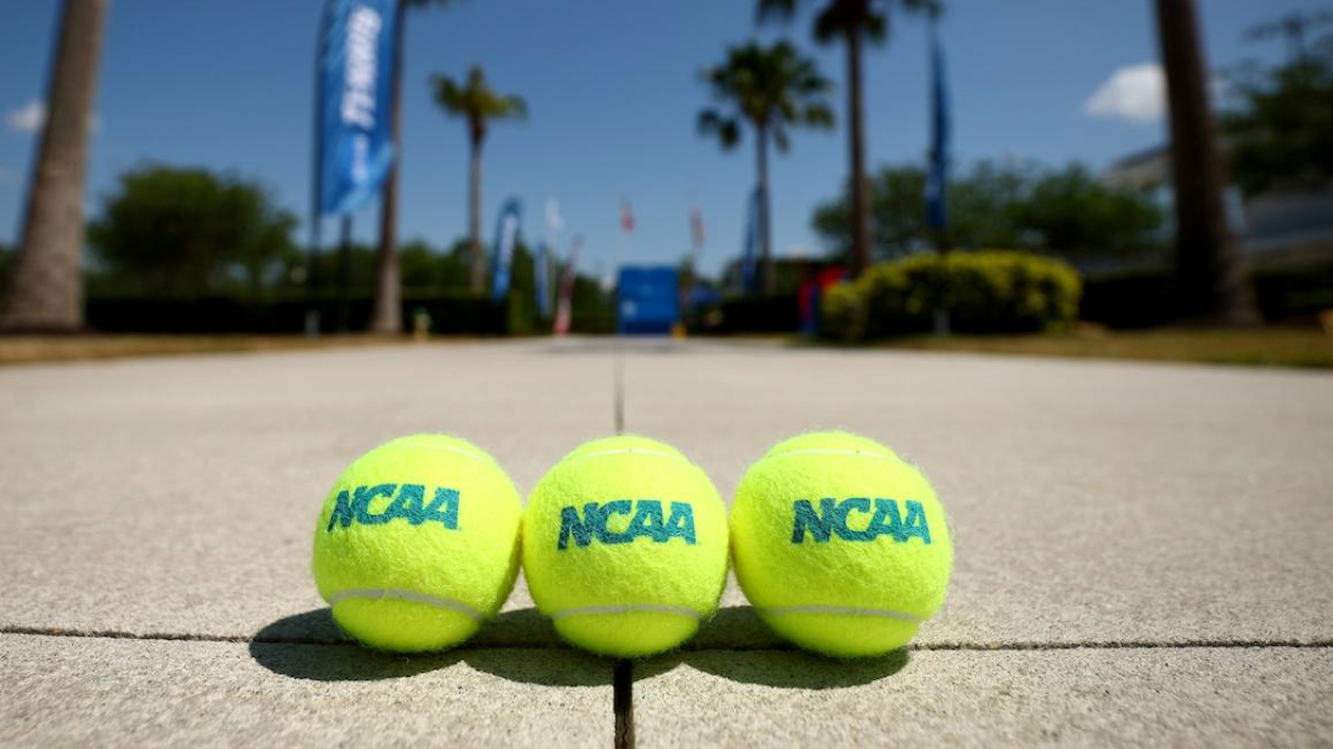 W&M, UNCW Learn First-Round Opponents In NCAA Tennis Championships