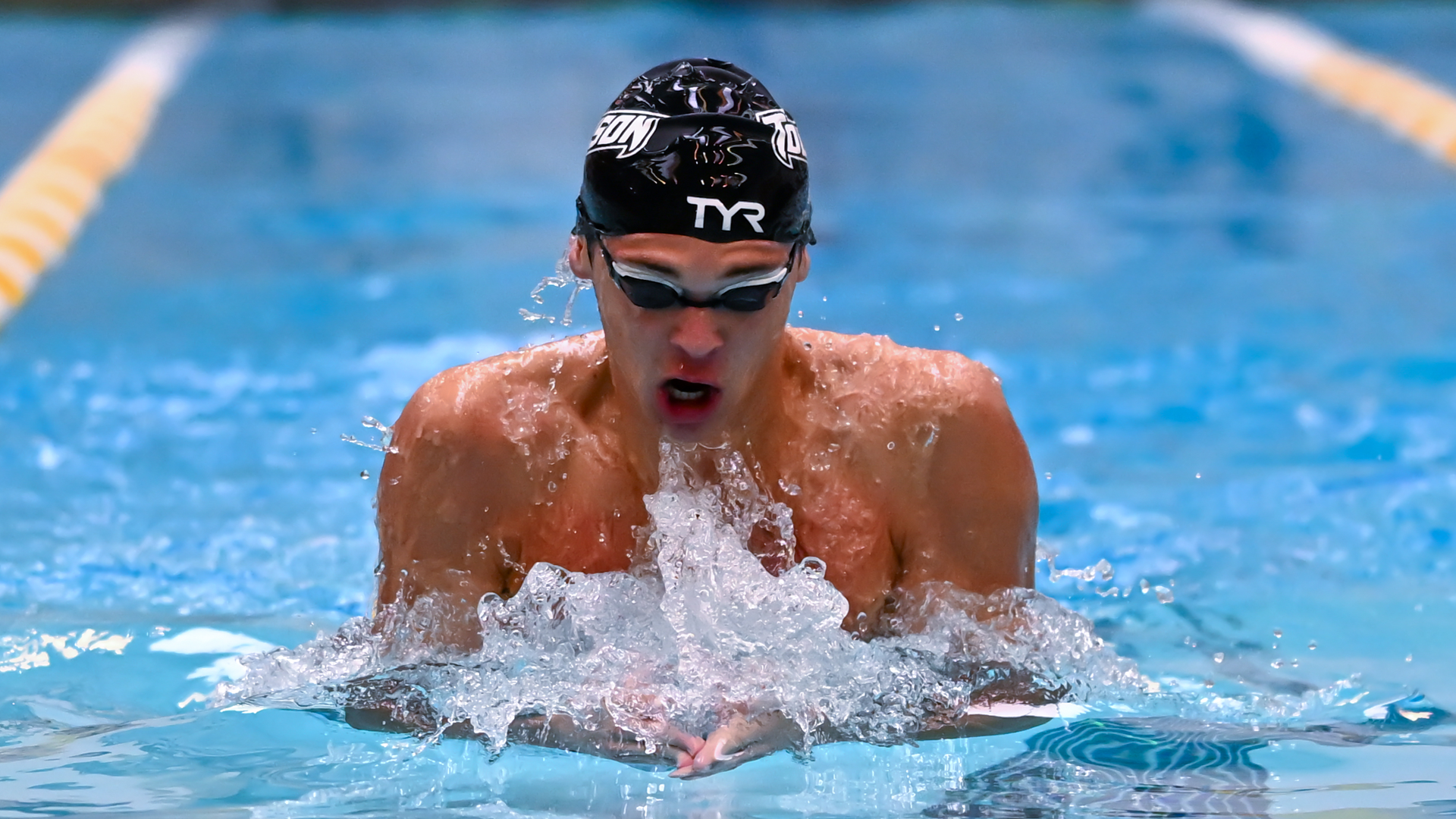 CAA Swimming & Diving Weekly Awards - Oct. 28