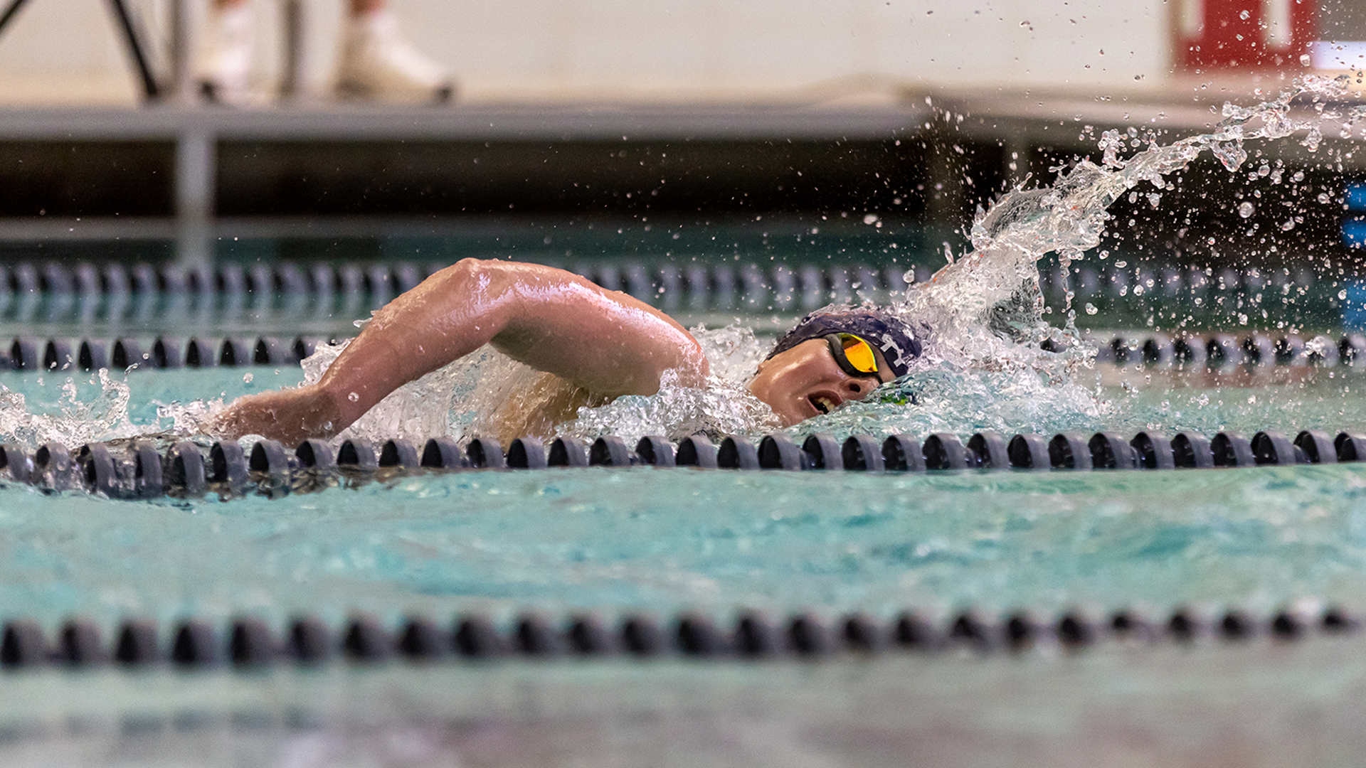 CAA Swimming & Diving Weekly Awards - Nov. 18
