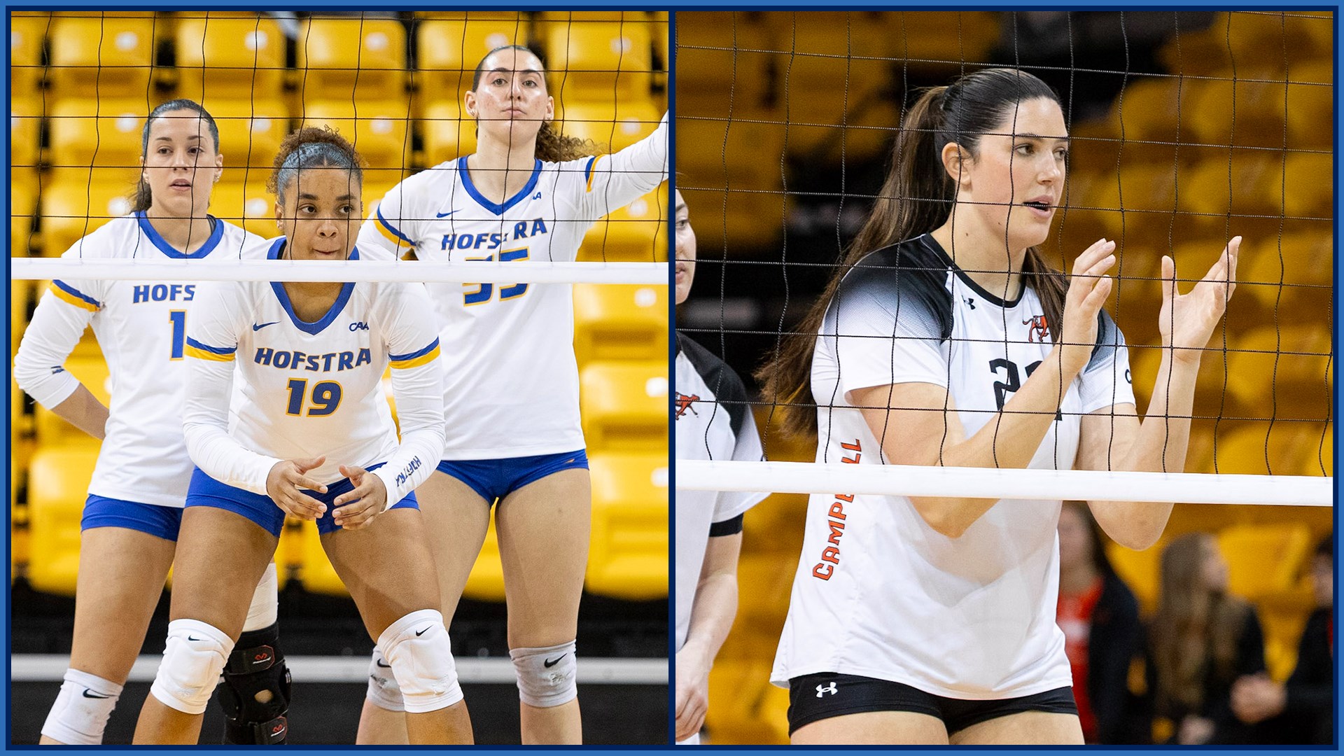 Hofstra, Campbell Emerge Victorious in 2025 CAA Volleyball Championship Semifinals