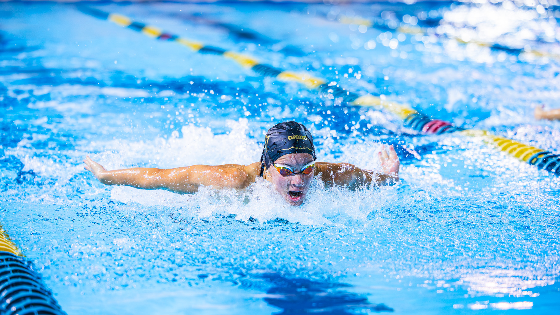 CAA Swimming & Diving Weekly Awards - Nov. 4