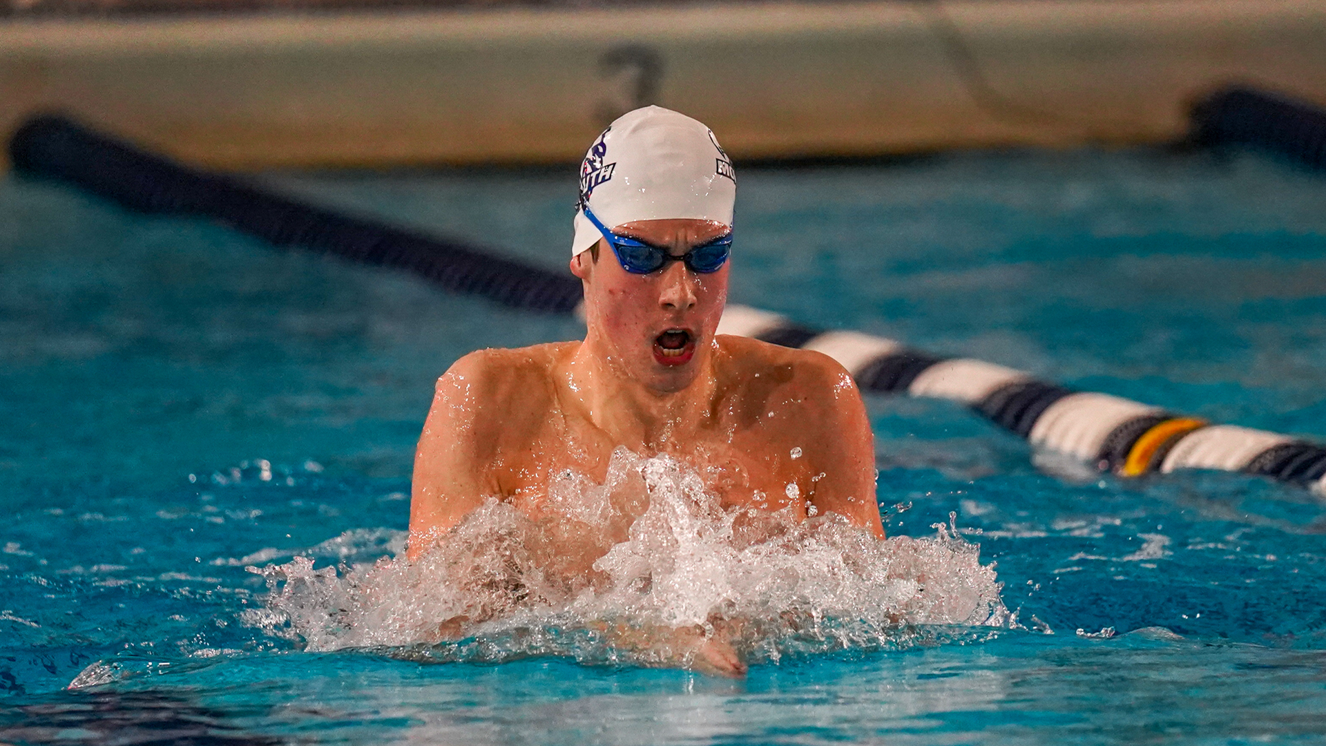 CAA Announces Rookie Swimmers And Divers Of The Month For October