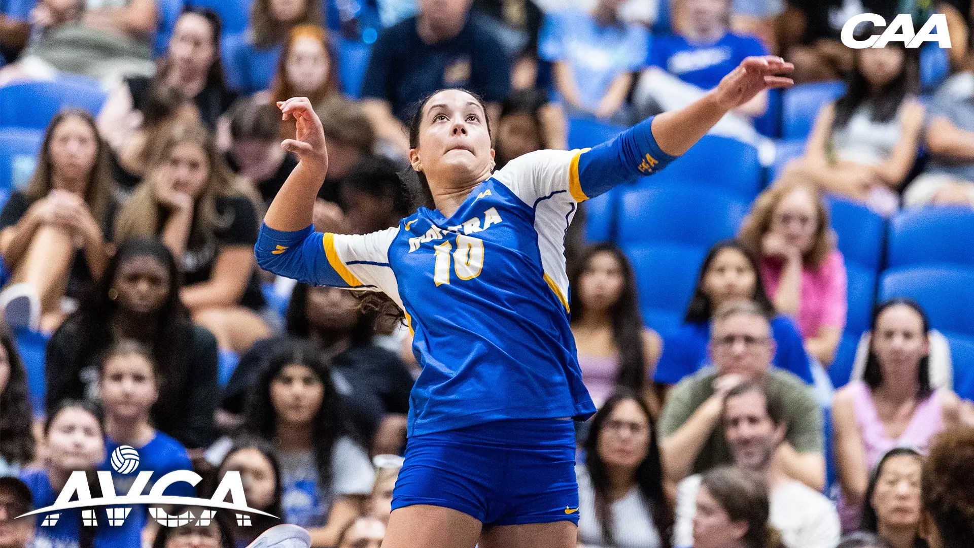 Hofstra’s Stedile Earns AVCA All-North Region Honorable Mention