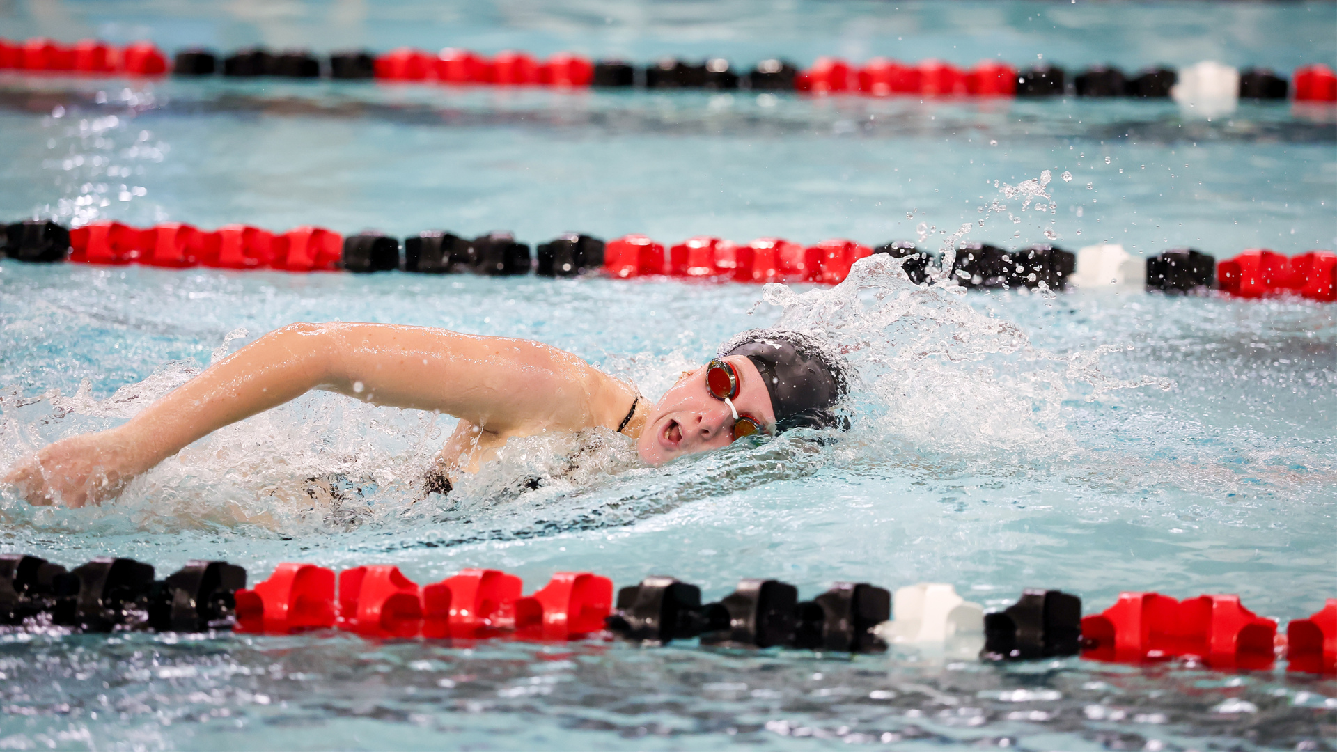 CAA Announces Rookie Swimmers And Divers Of The Month For November/December
