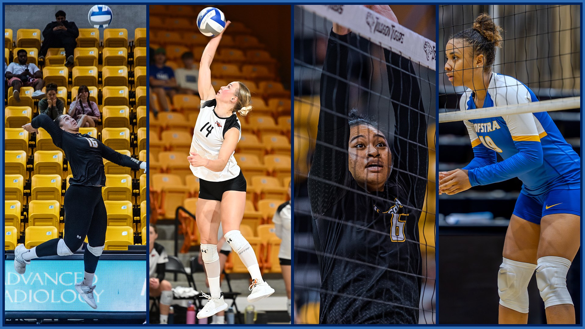 CAA Volleyball Weekly Awards – Sept. 8, 2025
